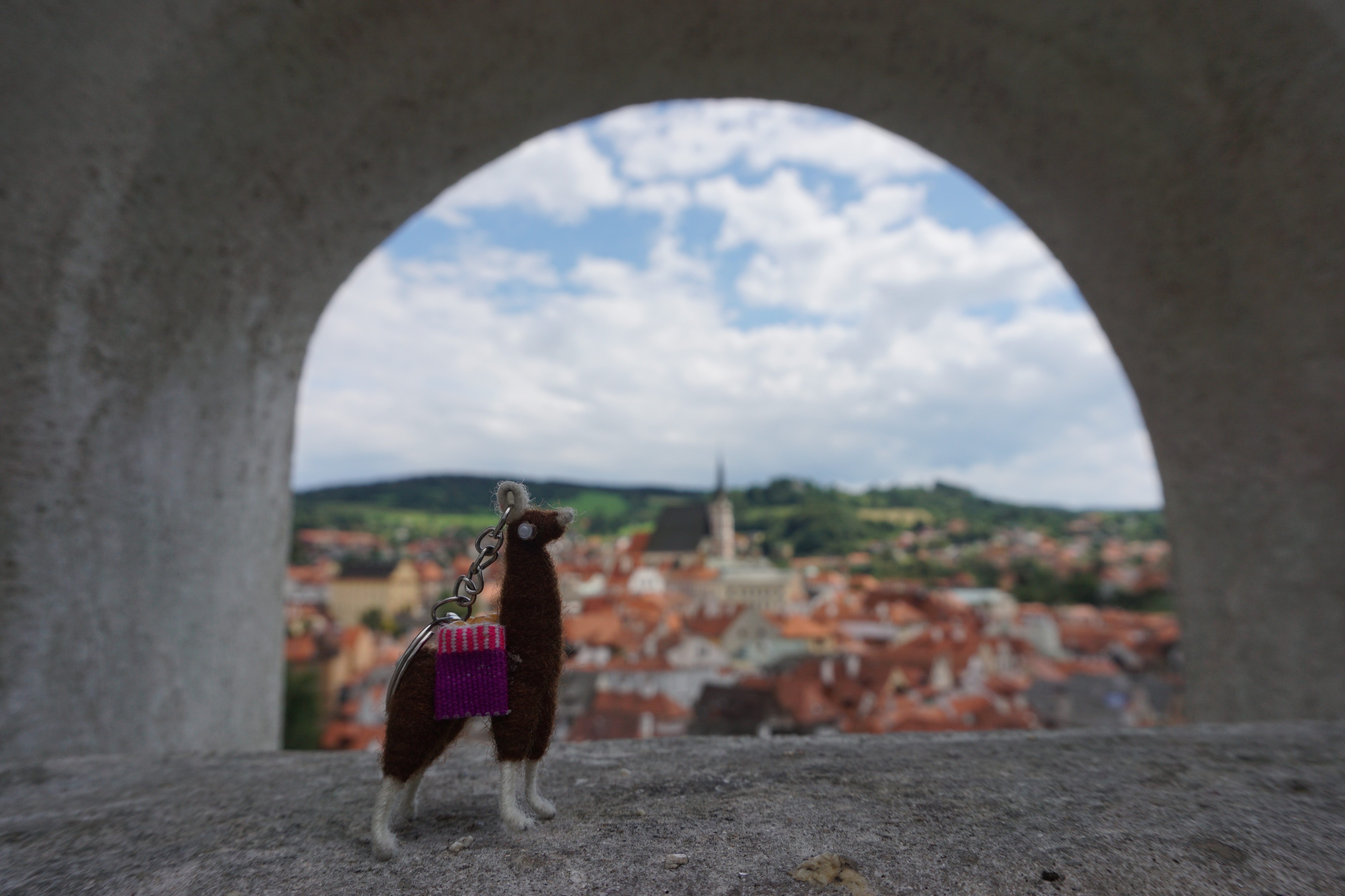 매해 유럽여행은 블루와 함께 합니다 ♥